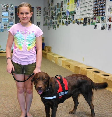 service dogs for epilepsy the service seizure alert dogs service dogs for epilepsy the service seizure alert dogs